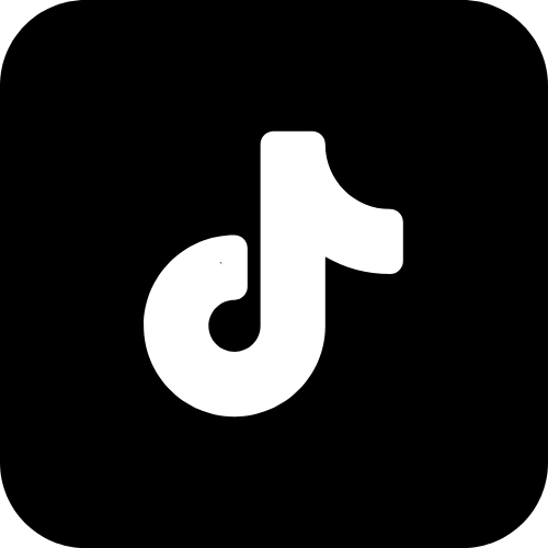 TikTok icon