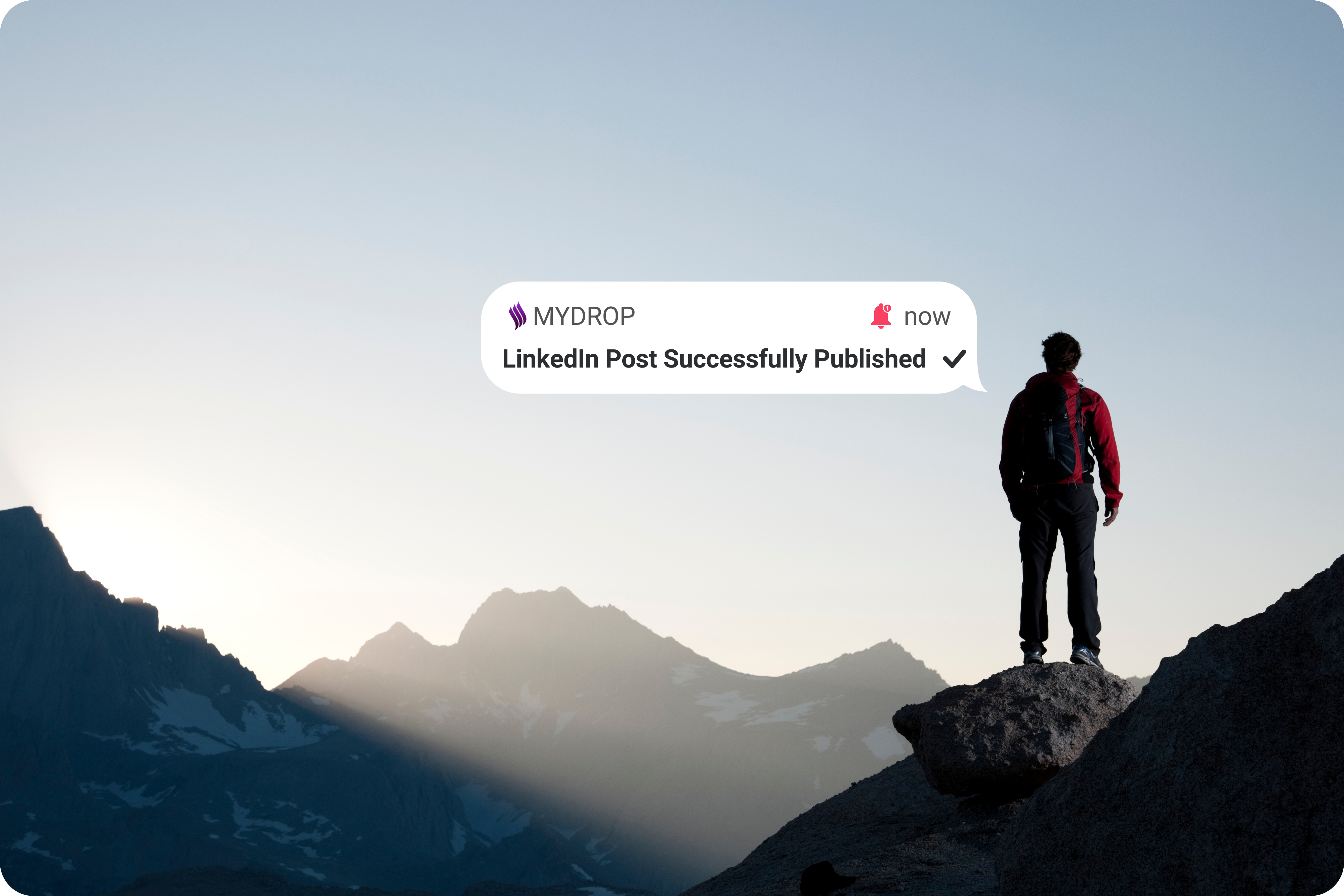 Set and forget posting